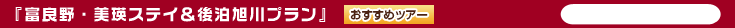 富良野・美瑛ステイ＆後泊旭川プラン