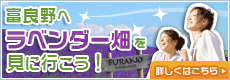 富良野へ行こう！