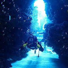 青の洞窟 ダイビング