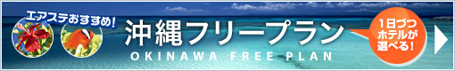 沖縄フリープラン
