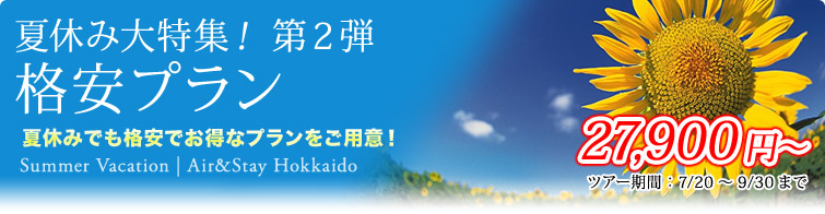 夏休み大特集！第2弾-格安プラン