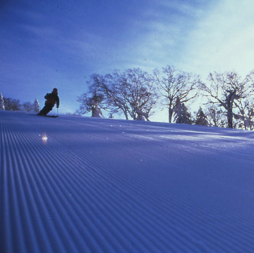 サホロリゾートスキー場ゲレンデイメージ
