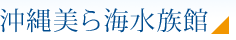 沖縄美ら海水族館