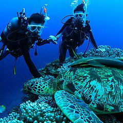 石垣島 ダイビング