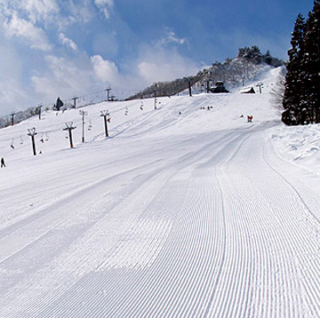 白馬八方尾根スキー場ゲレンデイメージ