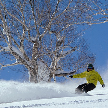 池の平温泉スキー場ゲレンデイメージ