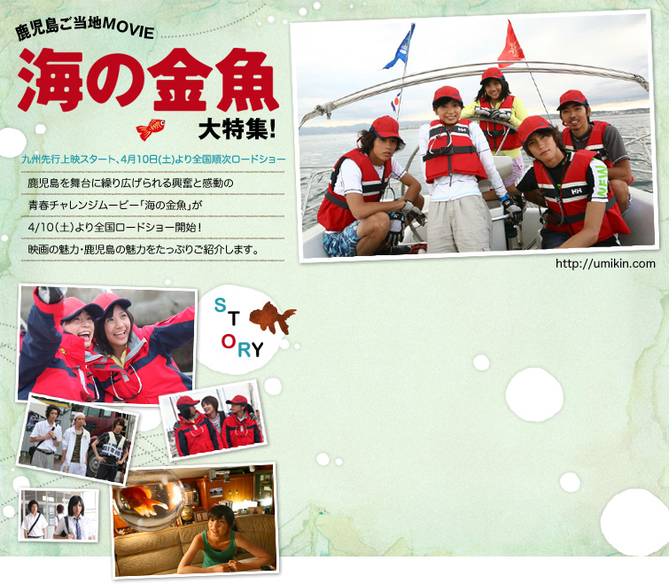 海の金魚大特集！