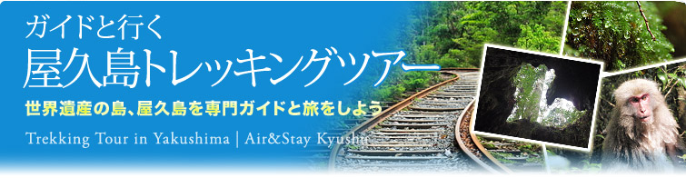 ガイドと行く屋久島トレッキングツアー