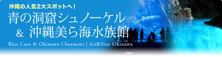 青の洞窟シュノーケル&沖縄美ら海水族館