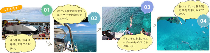 南国クルーズ＆シュノーケリングスケジュール