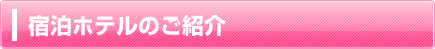 宿泊ホテルのご案内