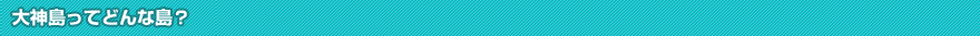 大神島ってどんな島？