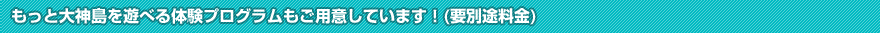 もっと大神島を遊べる体験プログラムもご用意しています！(要別途料金)