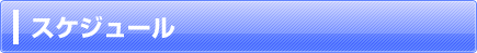 スケジュール