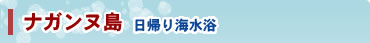 ナガンヌ島