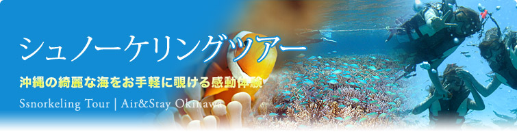 シュノーケリングツアー