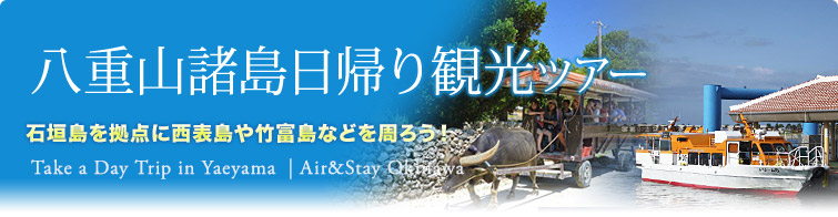 八重山諸島 日帰り観光ツアー
