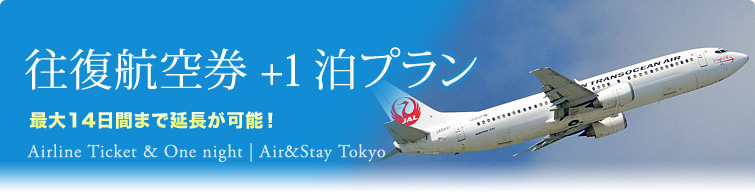往復航空券+1泊プラン