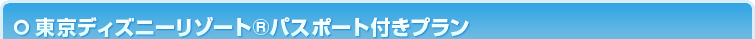 東京ディズニーリゾート®パスポート付プラン