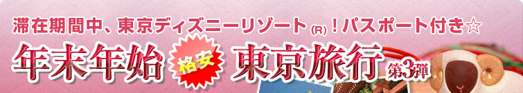 年末年始格安東京旅行 第3弾