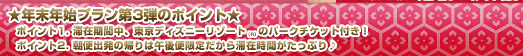 年末年始プラン第3弾のポイント朝便出発の帰りは午後便限定だから滞在時間がたっぷり♪&滞在期間中、東京ディズニーリゾート®のパークチケット付き!