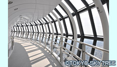 東京スカイツリー天望回廊（450m）