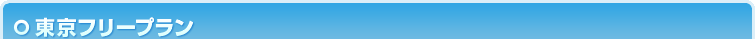 東京フリープラン